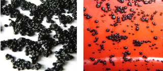 ����ᡤ(�й���½)��֤���ƻ���